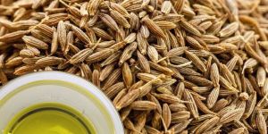 Cumin Essential Oil