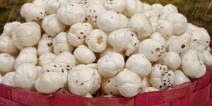 Popped Lotus Seeds Handpick Makhana