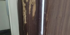 Pest Control Services