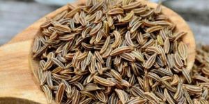 Cumin Seeds