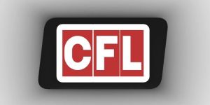 International Courier Services