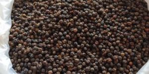 Black Pepper Seed