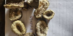 kolambo raw herbs