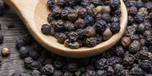 Black Pepper Seeds