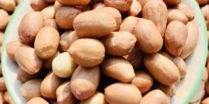 Raw Peanuts
