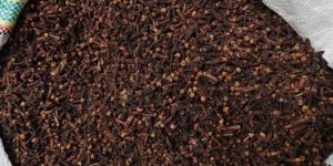 Dry Cloves
