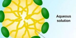 Formulation Development Service