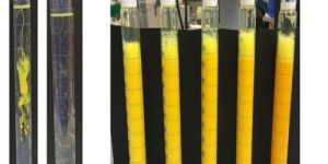 Surfactant Development Services