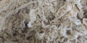 Sorted Mattress Wool