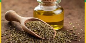Ajwain Oil