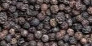 Black Pepper
