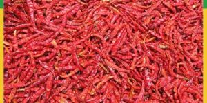 Dried Red Chilli
