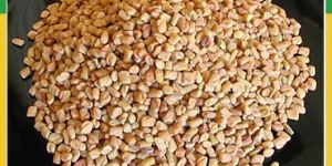 Fenugreek Seeds