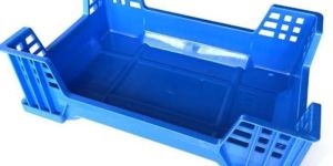 Insect Breeding Trays