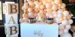 Baby Shower Venues Rental Service