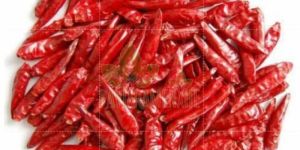 Dried Red Chilli