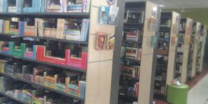 Library Consultancy Services