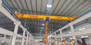 Single Girder EOT Cranes