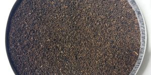 Arcus Standard Dust Tea