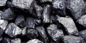 Steam Coal