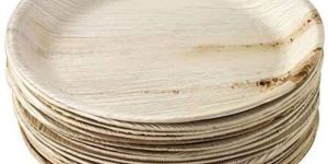 Biodegradable Paper Plate