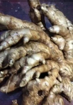 Organic Fresh Ginger