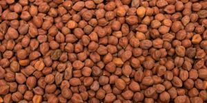 Brown Chickpea Pulses