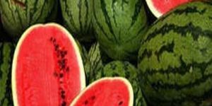 Fresh Watermelon