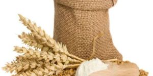 Wheat Flour