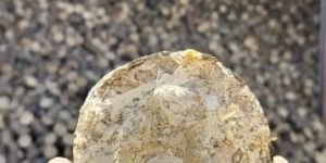 CORN CORB HUSK BIOMASS BRIQUETTE 90 MM