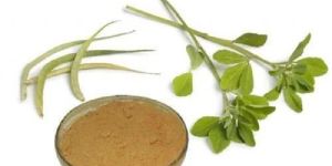 Centella Asiatica Powder