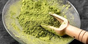 Green Tea Extract