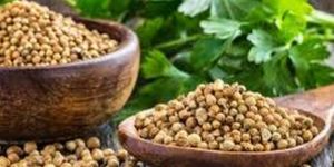 Coriander Seeds