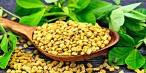 Fenugreek Seeds
