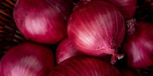 Fresh Red Onion