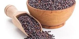 Brown Mustard Seeds