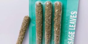 Sage Leaves Long Smudge Incense Sticks
