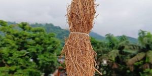 Vetiver Smudge Bundle