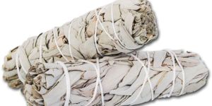 White Sage Smudge Bundle
