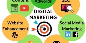 Digital Marketing Training Services