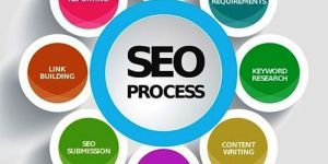 Search Engine Optimization Service