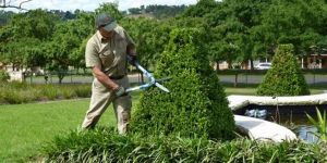 Horticulture and Gardening Service