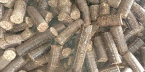 Biomass Briquettes