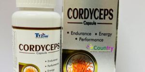 Cordyceps Extract