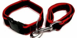 Dog PP Collar Leash Set