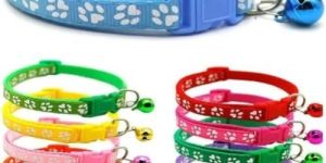 Multicolour Printed Dog Collar