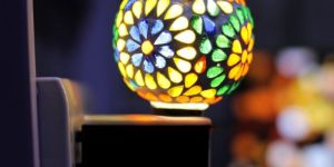 Electric Kapoor Dani