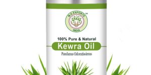 Kewra Essential Oil