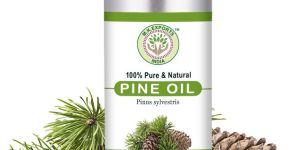 Pine Essential Oil