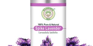 Spike Lavender Essential Oil